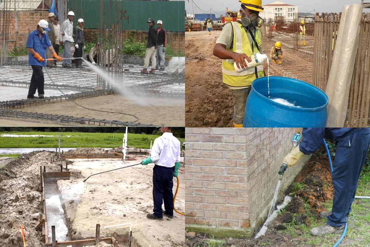 cách chống mối cho nhà xây mới